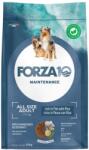 FORZA10 All Breeds Maintenance Fish Rice hrana caini de toate rasele 12 kg