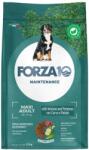 FORZA10 [TERMEN SCURT VALABILITATE] FORZA10 Maxi Adult Maintenance Venison Potato Hrana caini talie mare, cu caprioara si cartofi 12 kg
