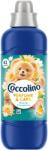Coccolino Perfume & Care Waterlily & Grapefruit öblítőkoncentrátum 41