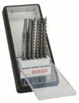 Bosch Casetă 6 pânze Robust Line pentru ferăstrău vertical, mixte, pentru lemn (2607010572) Panza fierastrau