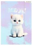 Starpak Mapă cu elastic Starpak - Meow, A4, sortiment (583297)