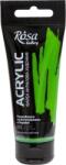 Rosa Gallery Vopsea acrilică Green Light (611) 60 ml 1 buc (3241611)