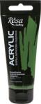 Rosa Gallery Vopsea acrilică Chromium Oxide (634) 60 ml 1 buc (3241634)