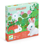 DJECO Joc Mica colectare, Djeco (DJ08558) Bucatarie copii