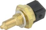 Delphi Unitate de control, Relee, Senzori Delphi TS10270 (DELPHITS10270)