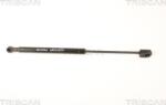 Triscan Amorizoare vibratii pe gaz Triscan 8710 25247 - compatibil Renault - Triscan-8710 25247 (TRISCAN871025247)