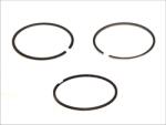 Mahle Cilindru, Piston Mahle 083 21 N0 (MAHLE08321N0)