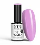Allepaznokcie Oja Semipermanentă NTN Premium Garden Party Collection Nr. 175 5 g