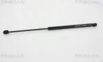 Triscan Amorizoare vibratii pe gaz Triscan 8710 28246 - compatibil Peugeot - Triscan-8710 28246 (TRISCAN871028246)