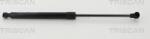 Triscan Amorizoare vibratii pe gaz Triscan 8710 25113 - compatibil Audi, Renault - Triscan-8710 25113 (TRISCAN871025113)