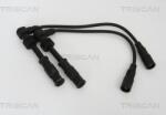 Triscan Cablu aprindere, piese racordare Triscan 8860 29006 - compatibil Audi, Vw - Triscan-8860 29006 (TRISCAN886029006)