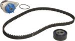 SKF Set curea distributie SKF VKMC 03100 (SKFVKMC03100)