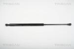 Triscan Amorizoare vibratii pe gaz Triscan 8710 25241 - compatibil Renault - Triscan-8710 25241 (TRISCAN871025241)