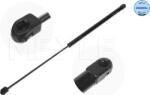 Meyle Amorizoare vibratii pe gaz Meyle 140 161 0062 - compatibil Audi, Vw - Meyle-140 161 0062 (MEYLE1401610062)