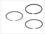 Goetze Cilindru, Piston Goetze 08-138900-00 - compatibil Peugeot, Citroën, Renault, Fiat (GOETZE0813890000)