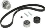 INA Set curea distributie INA 530 0119 30 (INA530011930)