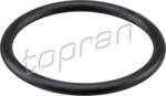 Topran Admisie aer motor Filtru aer, Carcasa Topran 113 884 (TOPRAN113884)