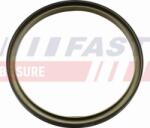 Fast Control al dinamicii de rulare Fast FT30201 - compatibil Iveco (FASTFT30201)