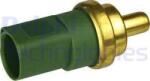 Delphi Unitate de control, Relee, Senzori Delphi TS10236-12B1 (DELPHITS1023612B1)