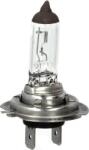 Magneti Marelli Iluminari auxiliare, Elemente Proiectoare, Elemente Magneti Marelli 002557100000 (MAGNETIMARELLI002557100000)