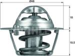 Mahle Sistem de racire motor Mahle TX 121 74D (MAHLETX12174D)