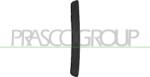 Prasco Elemente caroserie, Aripa, Bara protectie Bara protectie, piese Prasco AD8262163 (PRASCOAD8262163)