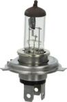 Magneti Marelli Iluminari auxiliare, Elemente Proiectoare, Elemente Magneti Marelli 002156100000 (MAGNETIMARELLI002156100000)
