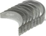 Mahle Arbore cotit, angrenare Ansamblu biela Mahle 029 PS 19909 025 (MAHLE029PS19909025)