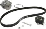 INA Set curea distributie INA 530 0166 31 (INA530016631)