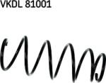 SKF Arc spirala SKF VKDL 81001 (SKFVKDL81001)