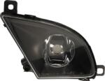 TYC Iluminari auxiliare, Elemente Proiectoare, Elemente TYC 19-0729-01-9 - compatibil Bmw (TYC190729019)
