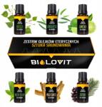 Bilovit Palo Santo Nyírfa Szauna Illóolaj Szett Ajándék MIX 6x 10ml (OET-ZES-04)