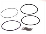 Lema Cilindru, Piston Lema 87015.09 (LEMA8701509)