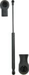 Magneti Marelli Amorizoare vibratii pe gaz Magneti Marelli 430719075500 (MAGNETIMARELLI430719075500)