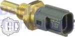 Delphi Unitate de control, Relee, Senzori Delphi TS10505 - compatibil Mini (DELPHITS10505)