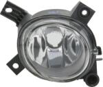 TYC Iluminari auxiliare, Elemente Proiectoare, Elemente TYC 19-0433-01-9 - compatibil Audi (TYC190433019)