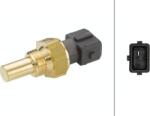 Hella Unitate de control, Relee, Senzori Hella 6PT 009 107-211 - compatibil 12621710511 - HELLA-6PT 009 107 (HELLA6PT009107211)