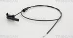 Triscan Lucuri, Bonnete, Uși, Acoperiș Capota fata, Piese, Izolare fonica Triscan 8140 28601 - compatibil Citroën, Peugeot - Triscan-8140 28601 (TRISCAN814028601)