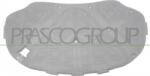 Prasco Lucuri, Bonnete, Uși, Acoperiș Capota fata, Piese, Izolare fonica Prasco VG0541945 (PRASCOVG0541945)