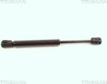 Triscan Amorizoare vibratii pe gaz Triscan 8710 16104 (TRISCAN871016104)