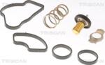 Triscan Sistem de racire motor Triscan 8620 52188 (TRISCAN862052188)