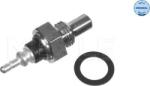 Meyle Unitate de control, Relee, Senzori Meyle 014 054 0013 (MEYLE0140540013)