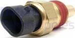 Delphi Unitate de control, Relee, Senzori Delphi TS10075-12B1 (DELPHITS1007512B1)