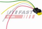 Fast Pompa combustibil, Piese Set reparatie pompa combustibil Fast FT76118 - compatibil Nissan, Renault, Opel (FASTFT76118)
