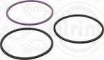 Elring Cilindru, Piston Elring 308.930 - compatibil Daf (ELRING308930)