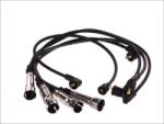 Magneti Marelli Cablu aprindere, piese racordare Magneti Marelli 941319170003 (MAGNETIMARELLI941319170003)