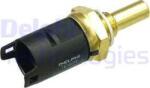 Delphi Unitate de control, Relee, Senzori Delphi TS10258 (DELPHITS10258)