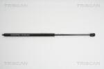 Triscan Amorizoare vibratii pe gaz Triscan 8710 23110 - compatibil Mercedes-Benz - Triscan-8710 23110 (TRISCAN871023110)