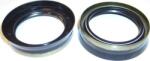 Elring Butuc roata, lagar Simering planetara Elring 021.970 - compatibil Audi (ELRING021970)