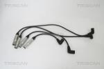 Triscan Cablu aprindere, piese racordare Triscan 8860 29012 - compatibil Audi, Seat, Vw, Skoda - Triscan-8860 29012 (TRISCAN886029012)